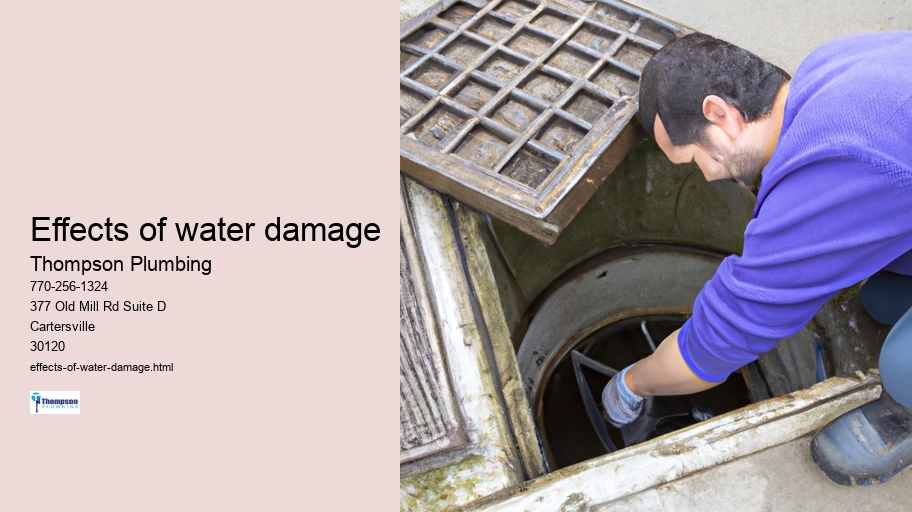 Effects of water damage