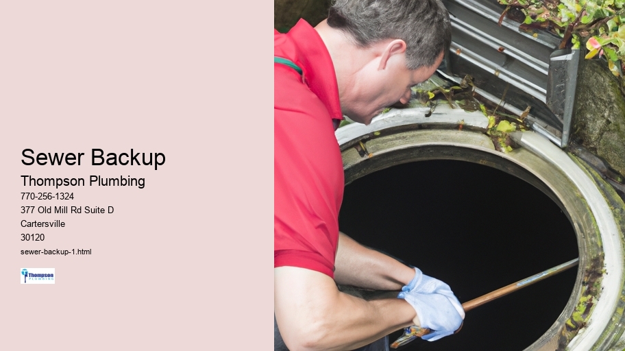 Sewer Backup